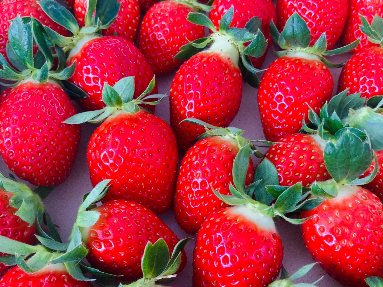 2020年2月開園の新しい農園です!美味しく楽しい時間をお過ごしください♪