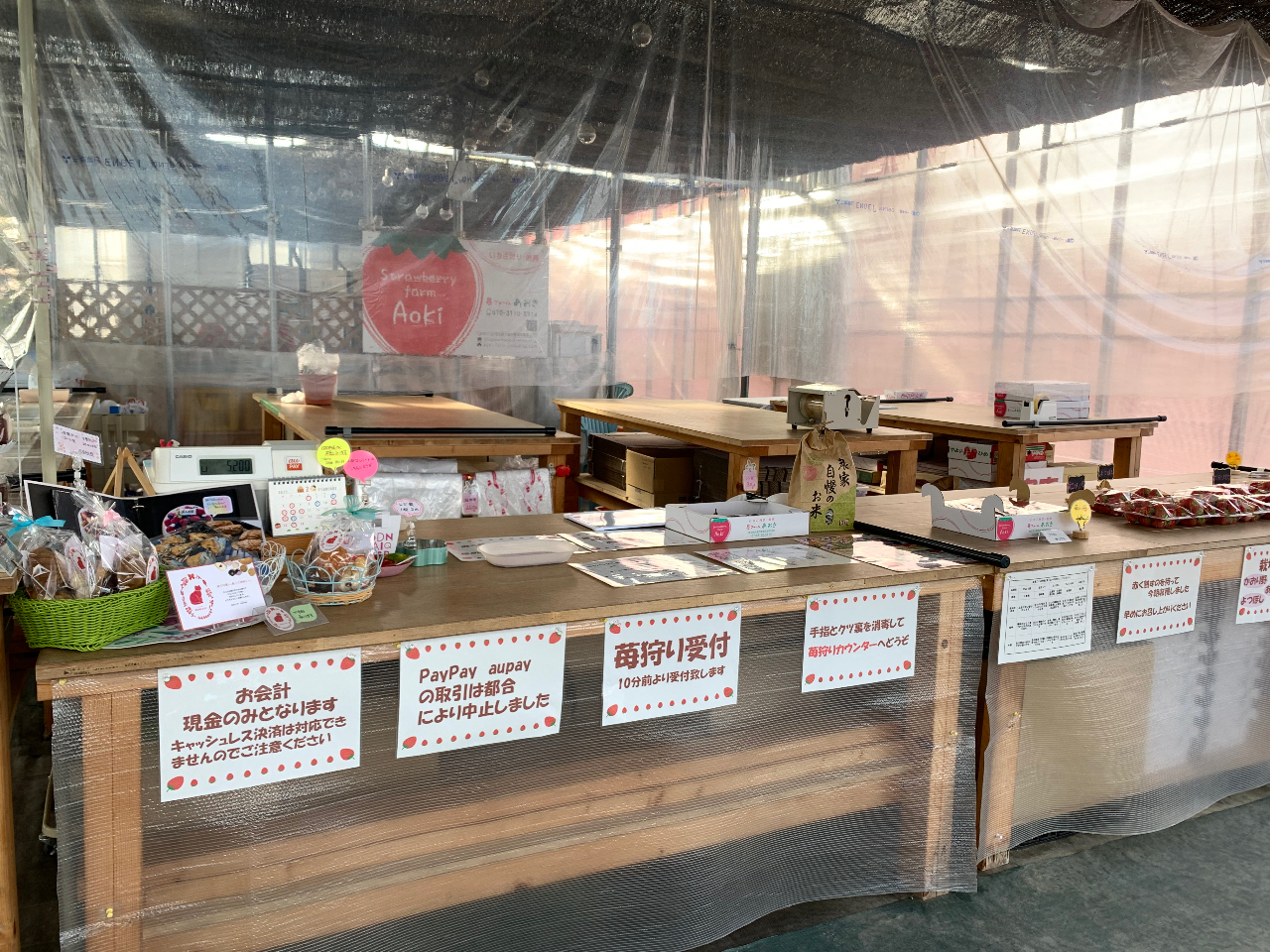 ������Ŏ�t���s���܂��I