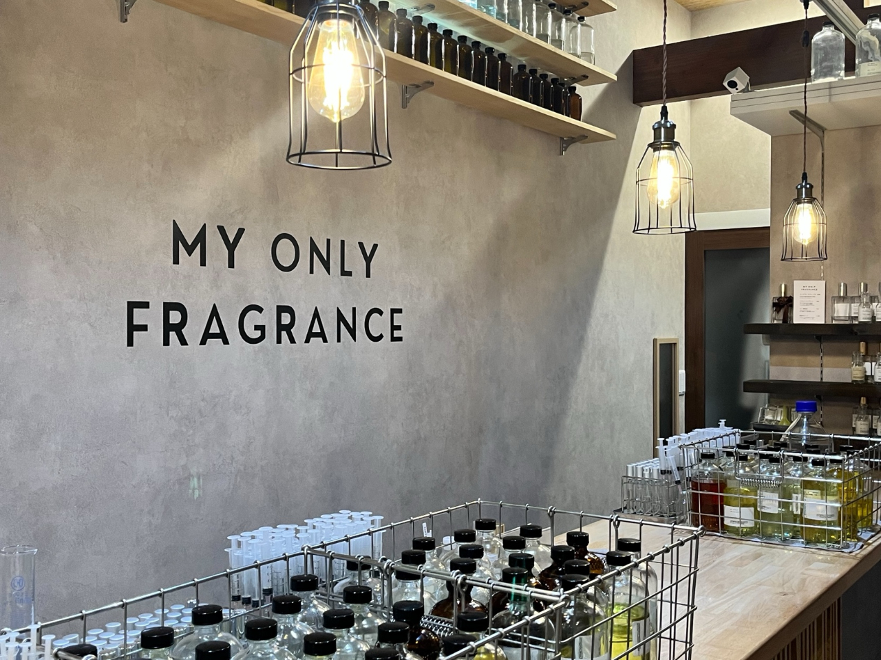 XɕԐ\̍肩炨Dȍ𕡐Iт̏ŒAq܂̐EɈ̓ʂȍ܂B