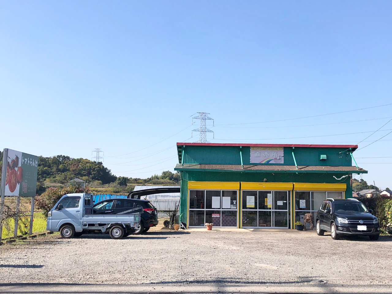 ɂĂイAg}gAAāAG߂̖؁Aʕ̔Ă܂