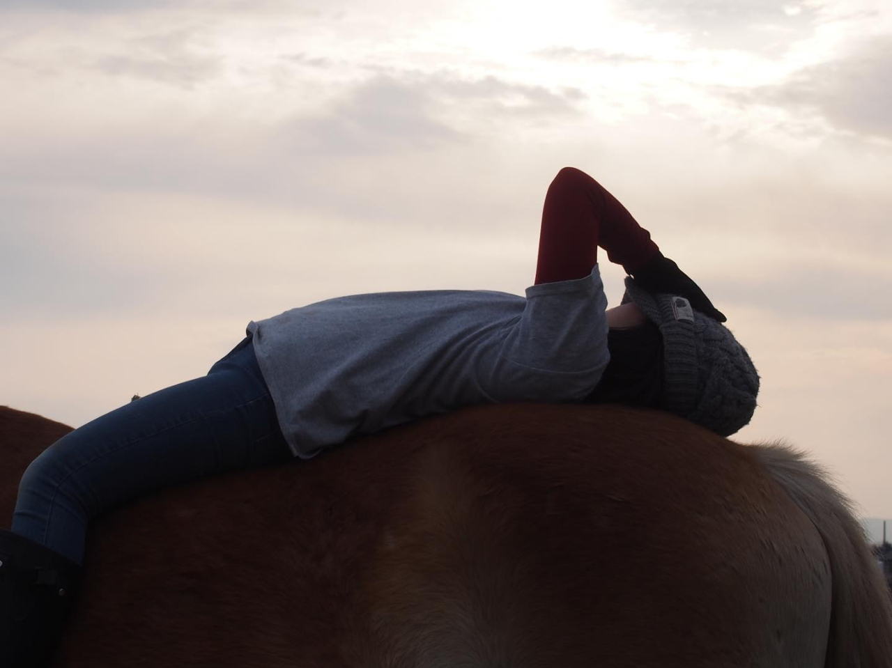 馬の上で寝ています。