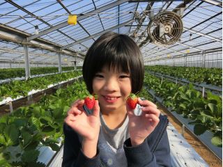 おいしいいちごを食べに来てね♪