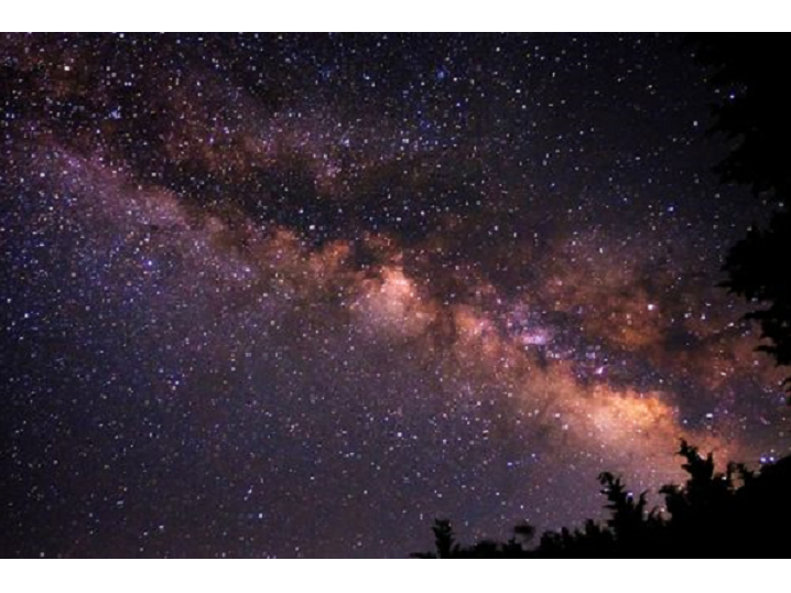 期間限定１組貸切 幻想的な夜の海を堪能 海ほたる 星空ナイトシュノーケリング 梅ちゃんマリン じゃらん遊び体験
