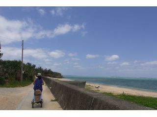 海を眺めながらペダルをこぐ