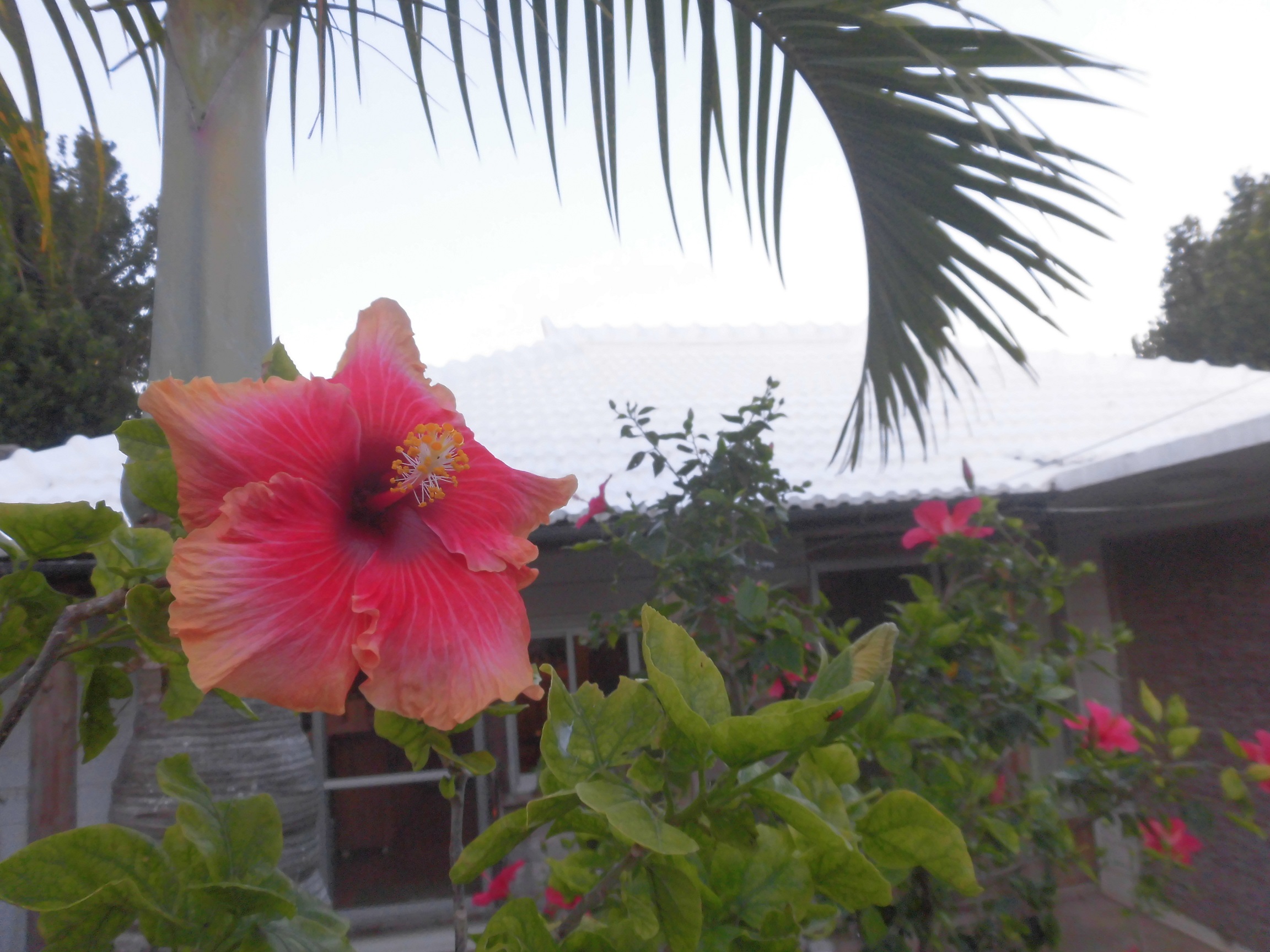 ~̎AMт̐A͐S𐰂₩ɂĂ܂