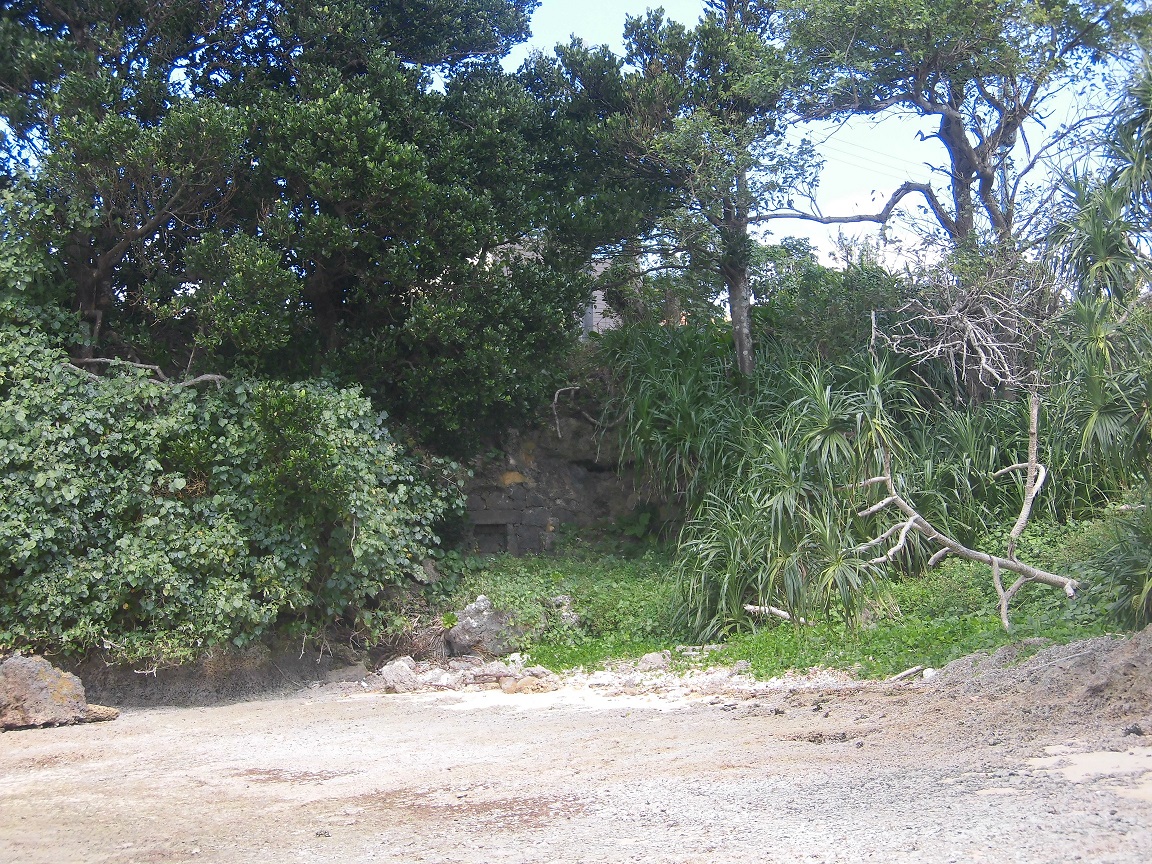 lӂɓ_݂ݕǂ𗘗p@R琶܂ꎩRɖ߂镗̕Kvo܂