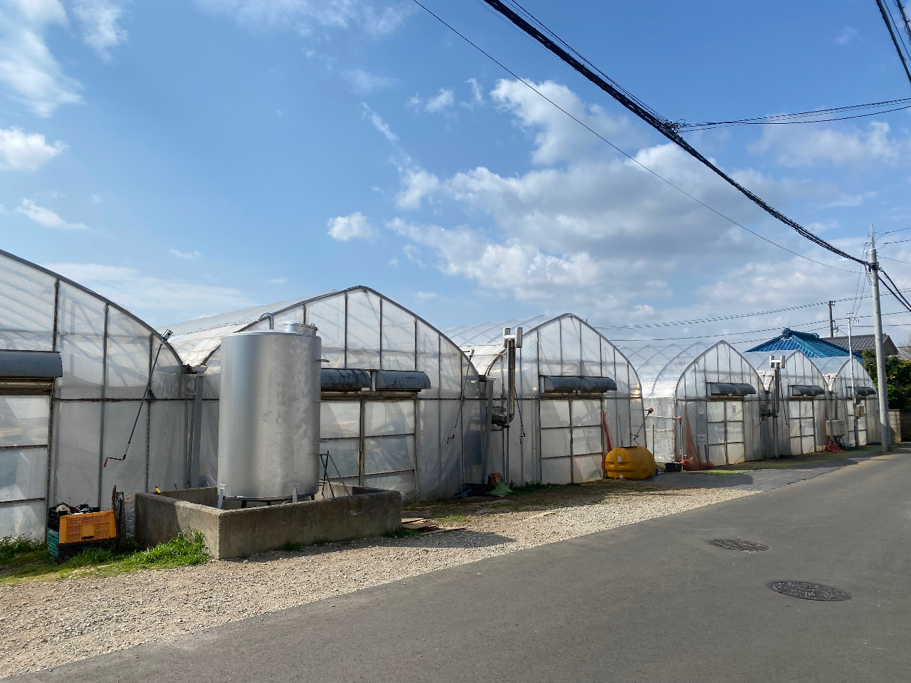 いちご狩りハウス