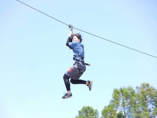 まるで鳥になった気分!森を駆け抜けるスリル満点の体験