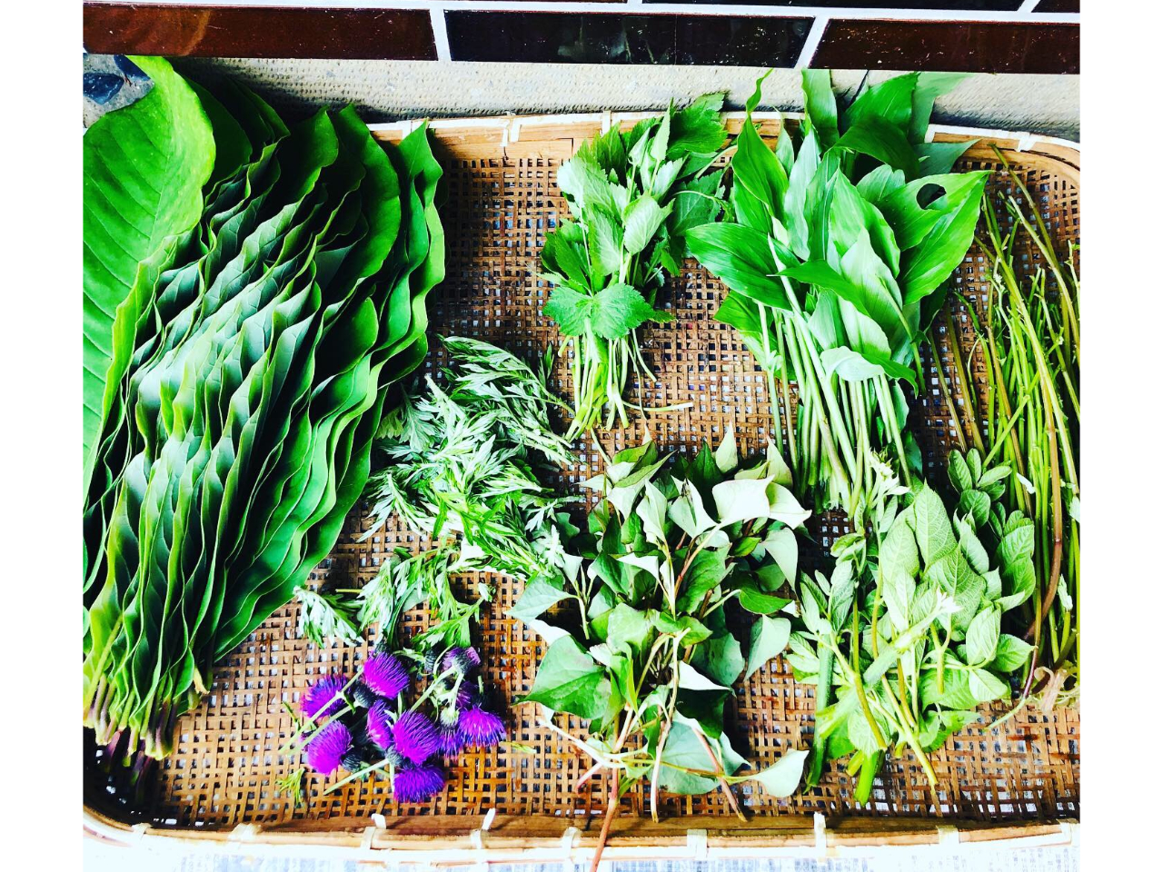 ̑傫tς́A6ɍ̎łptłBMAOtA䪉ׁA݂ԂAǂ݁AAU~iڂ݁jHׂ܂B