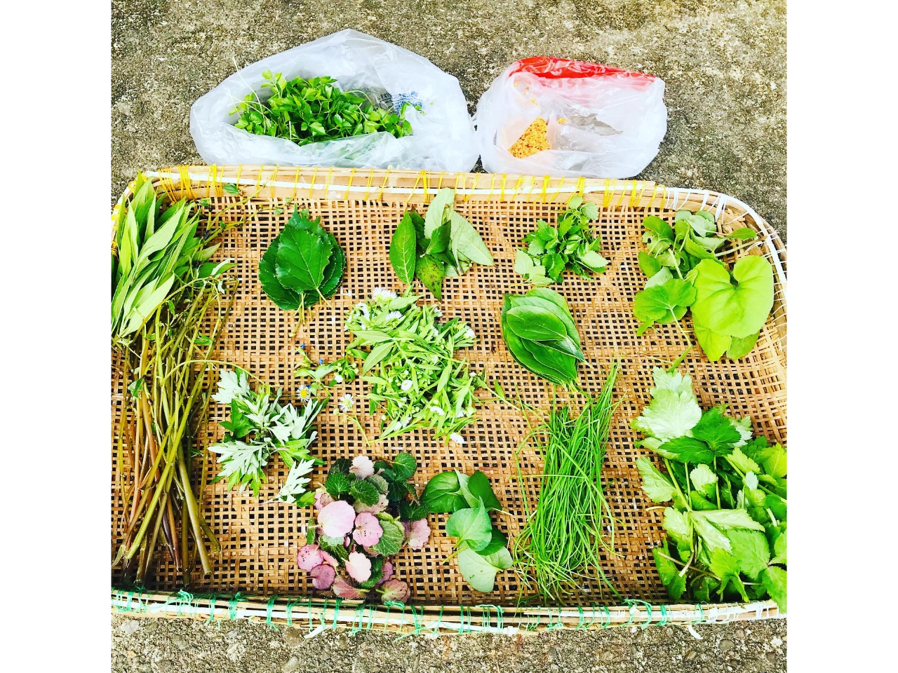 G߂ɂāA̎łRؖ쑐͈Ⴂ܂B̎ʐ^ɂ́A؍ҁitbVn[ueB[ňށjʂĂ܂BHׂR쑐́A⍇B