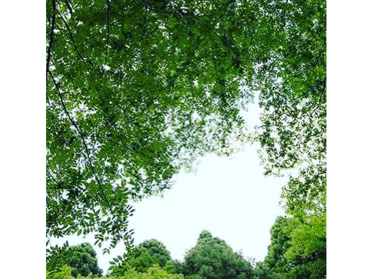 E΂̖؁XBQ΂ƁA삪ς܂B