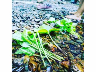 その時の食べる量を自然から分けて頂きます。