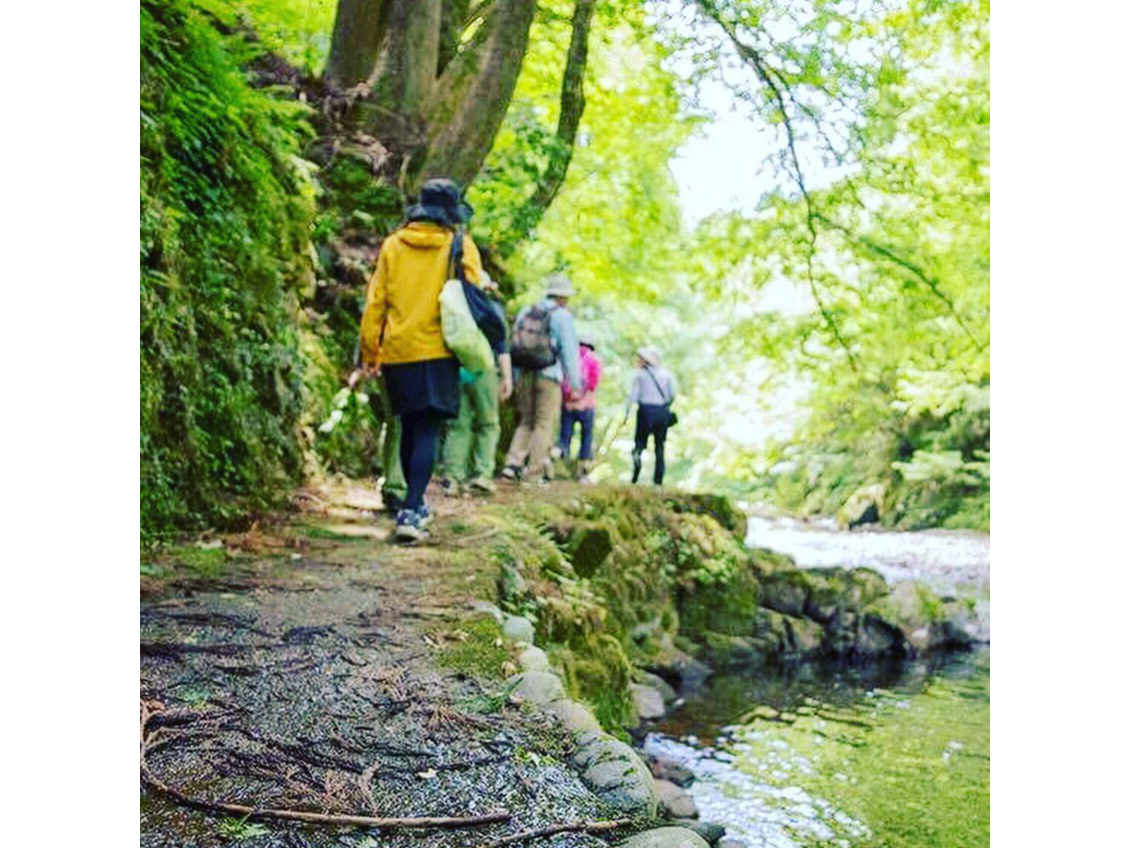 ĂłAAŋCǂłBȂǂ甧邽߂ɁAY{E̕ŁB