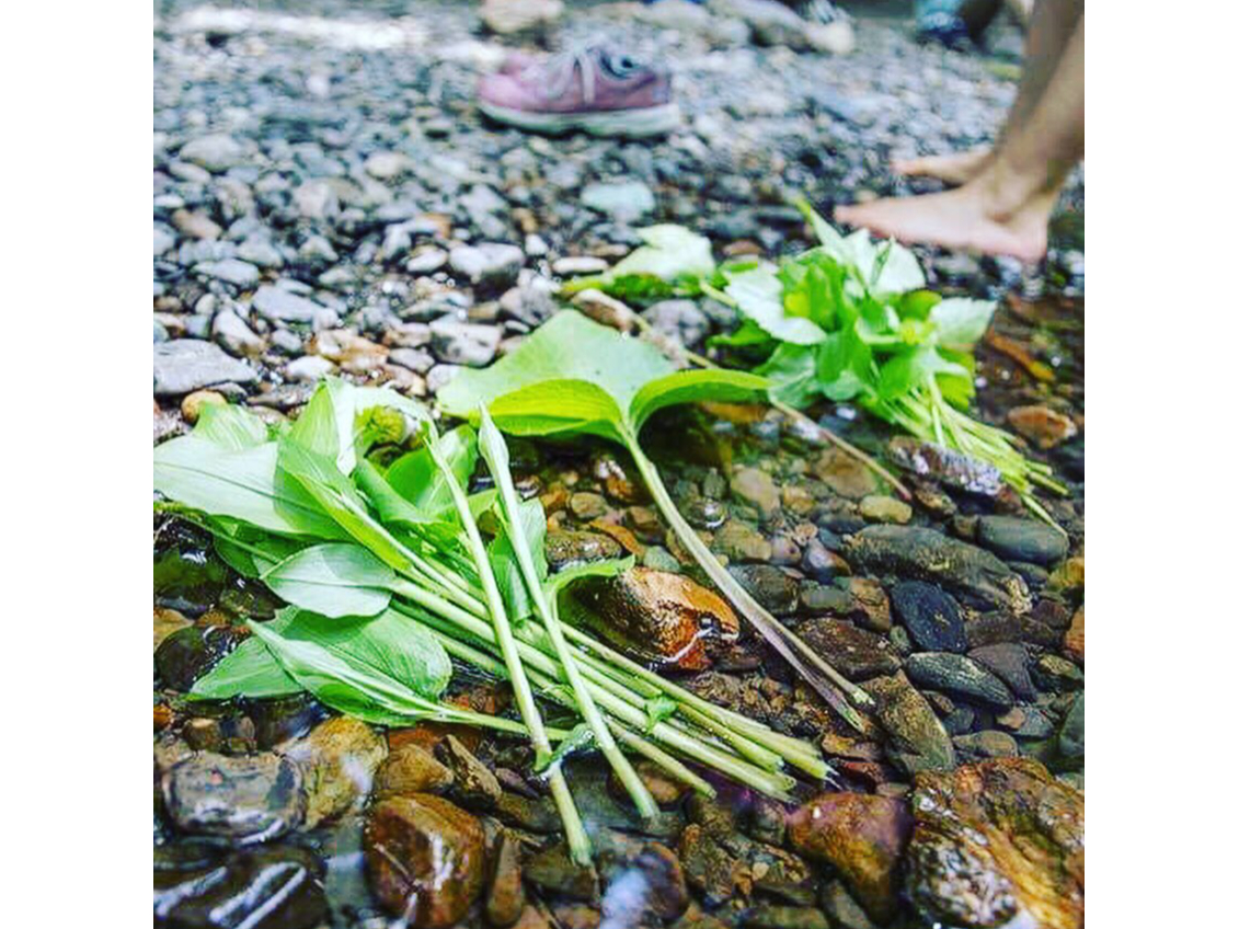 その時の食べる量を自然から分けて頂きます。