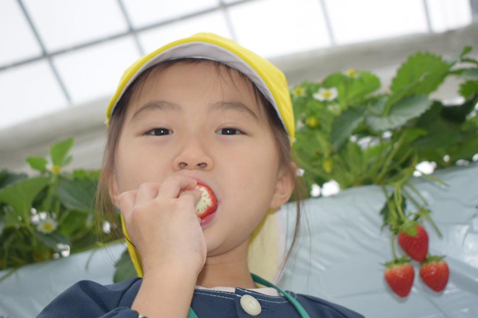 �傫�ȃC�`�S������Ńp�N�b�I�����i��ł��`��傫���Ŗ����Ⴄ�̂ŐH�ה�ׂĂ݂Ă���������