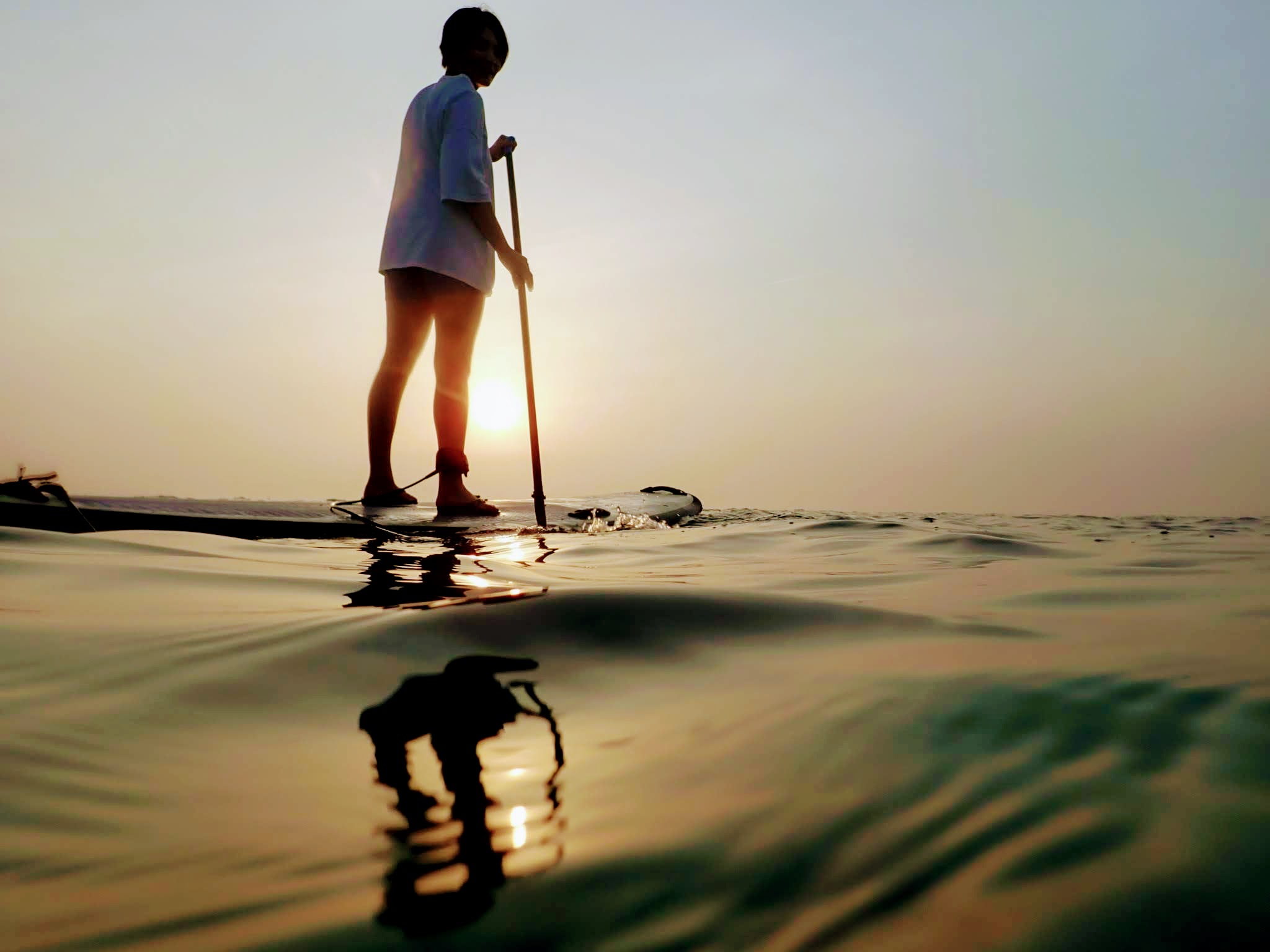 ₩Ȑʂɉec[͎ʐ^ƂĂYI