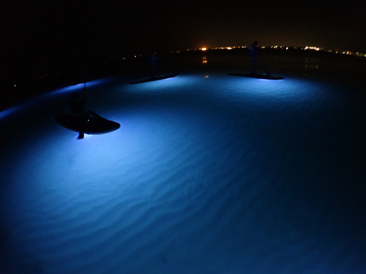 L̔l̔g䂪ACgɏƂ炳ĂƂĂYɕяオČ܂B