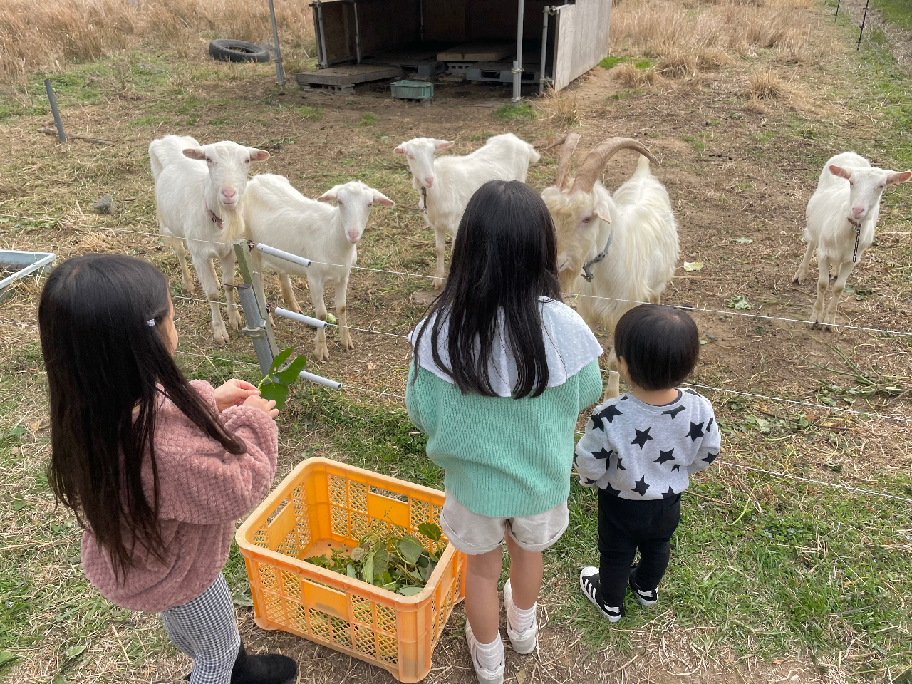 ɃMɉǎł܂̂ŁACyɃX^btɂ