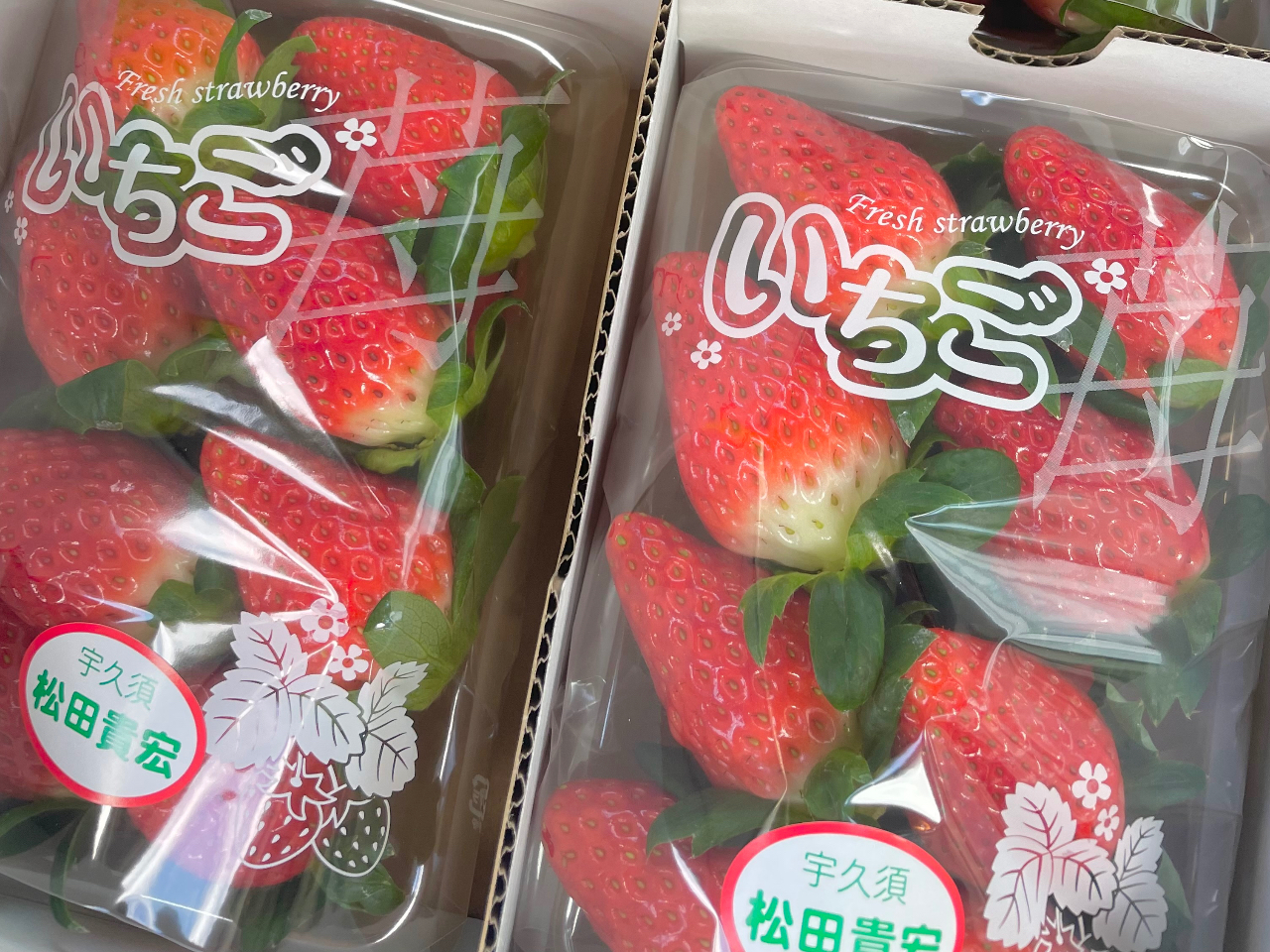 5月7日～いちごが無くなるまで【2026年度☆いちご狩り】45分食べ放題