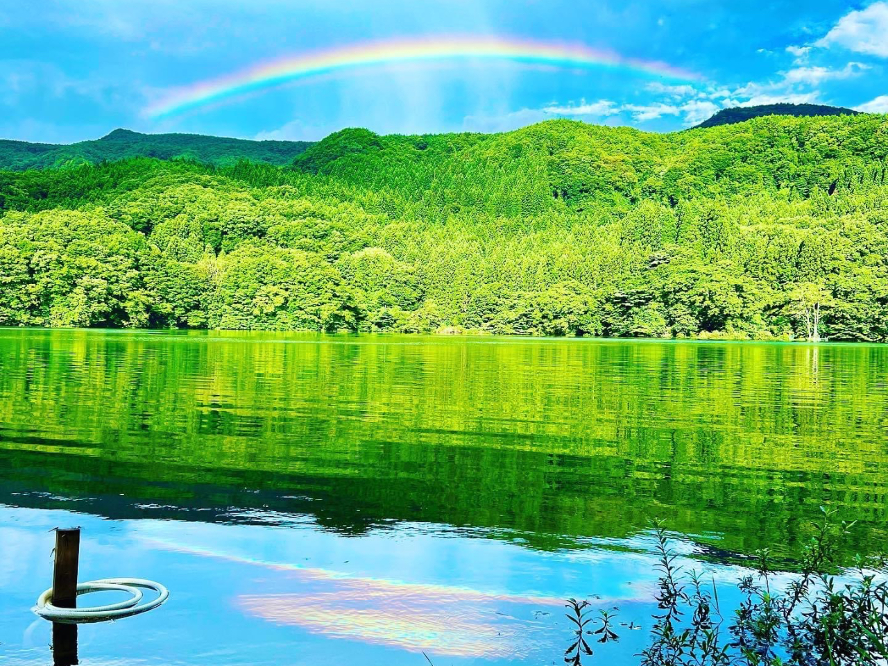 ��i�̏����̌i�F�����\�ł��܂�