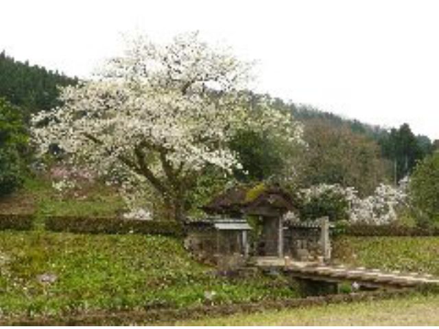 朝倉氏遺跡唐門