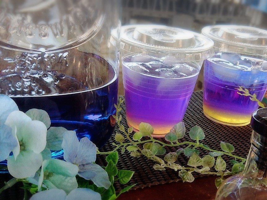 �X�̂���̎ʐ^1