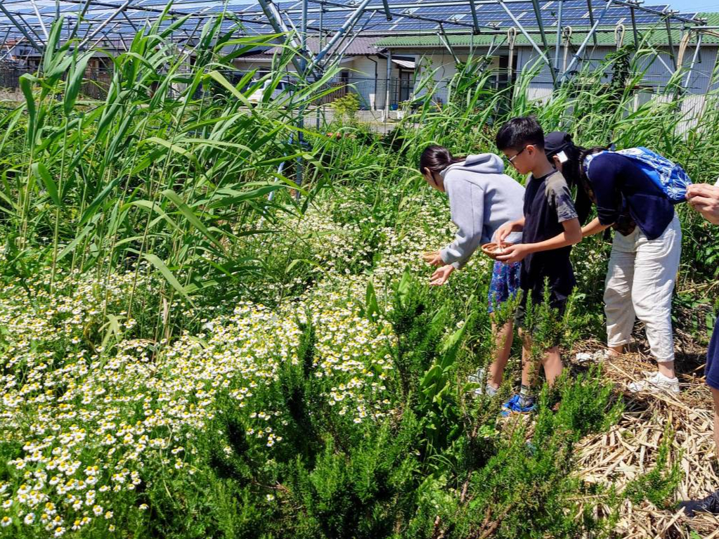 �X�̂���̎ʐ^2