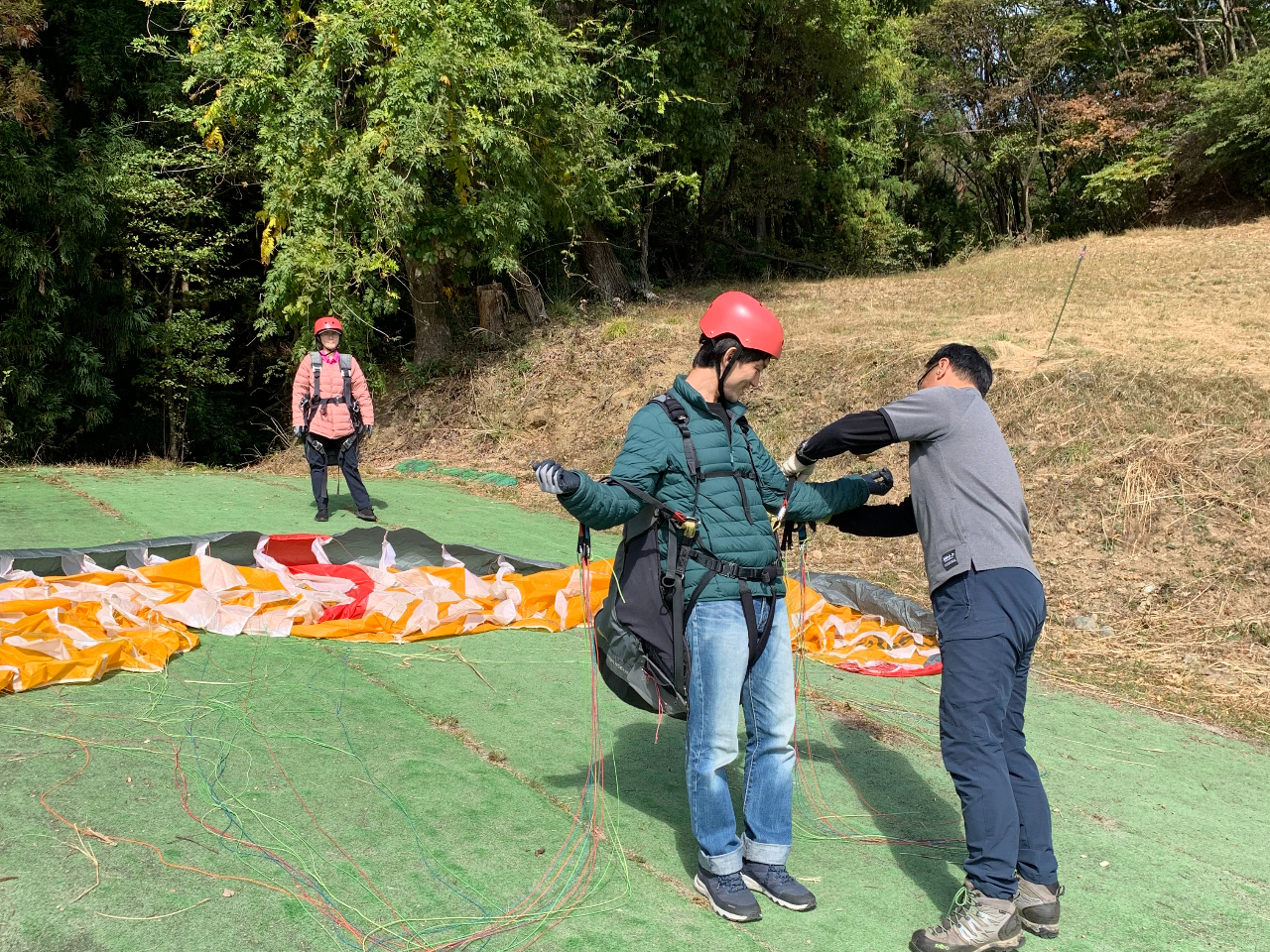 �R�[�`�����J�Ɏw���������܂��B