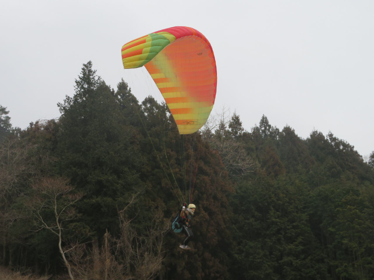空の世界は格別です!!