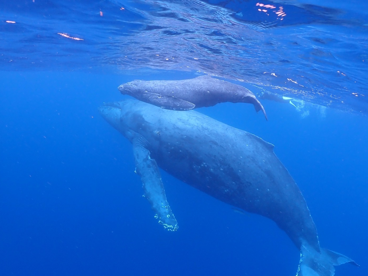 qNW撣ĉjopAꂳNWɊÂp͌lKɂĂ܂B