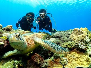 ウミガメに会いに行こう♪
