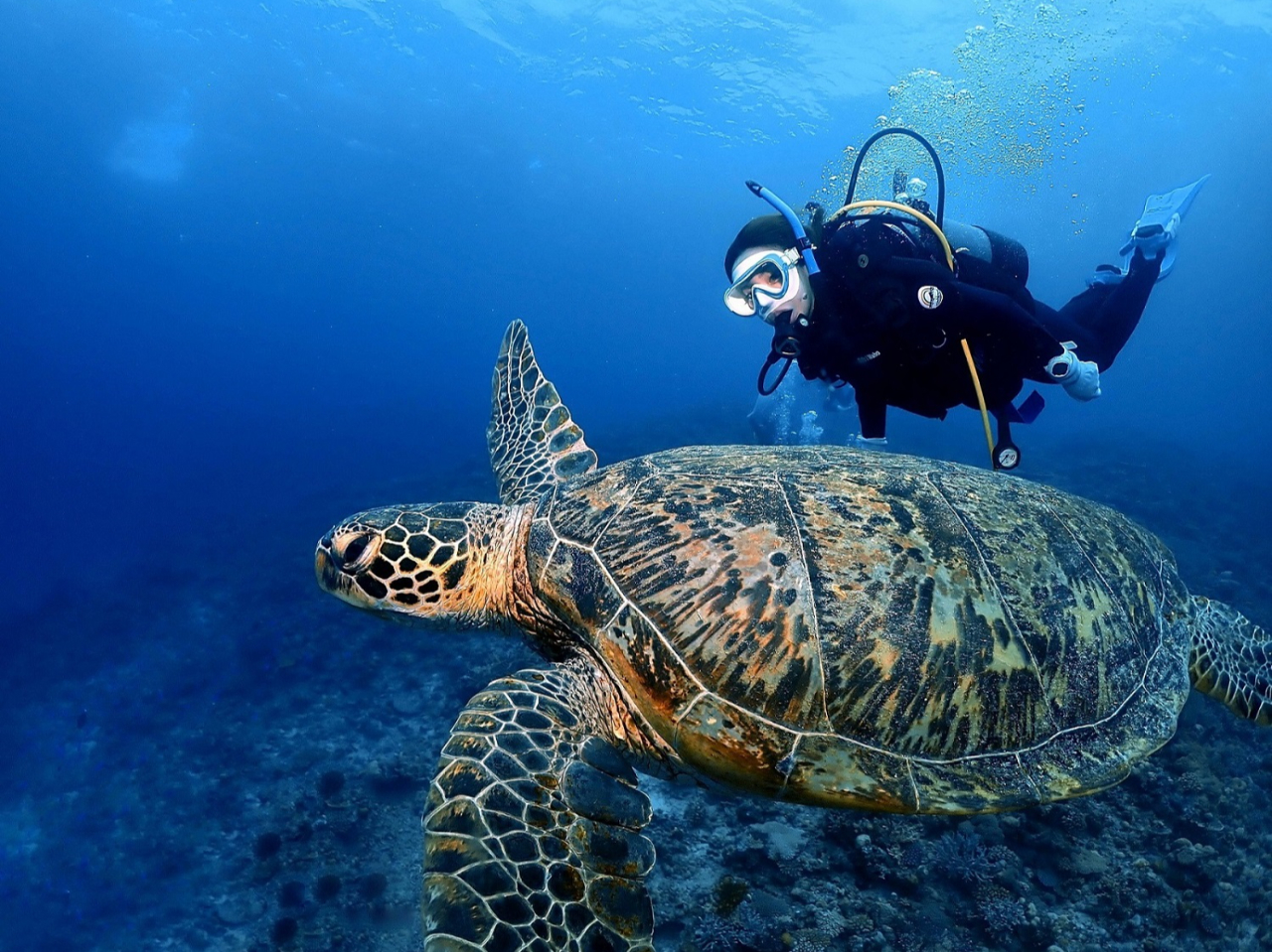 ɊĂ2_Cuڂ͂ƂĂy͂II