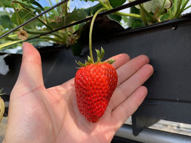 ÂƂقǂ悢_̃n[j[y݂B