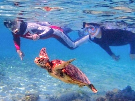 E~KƏɉjɂ́A傫ȉĂɉDߕtĂ݂悤I