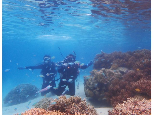 まるで魚たちのイリュージョン☆★