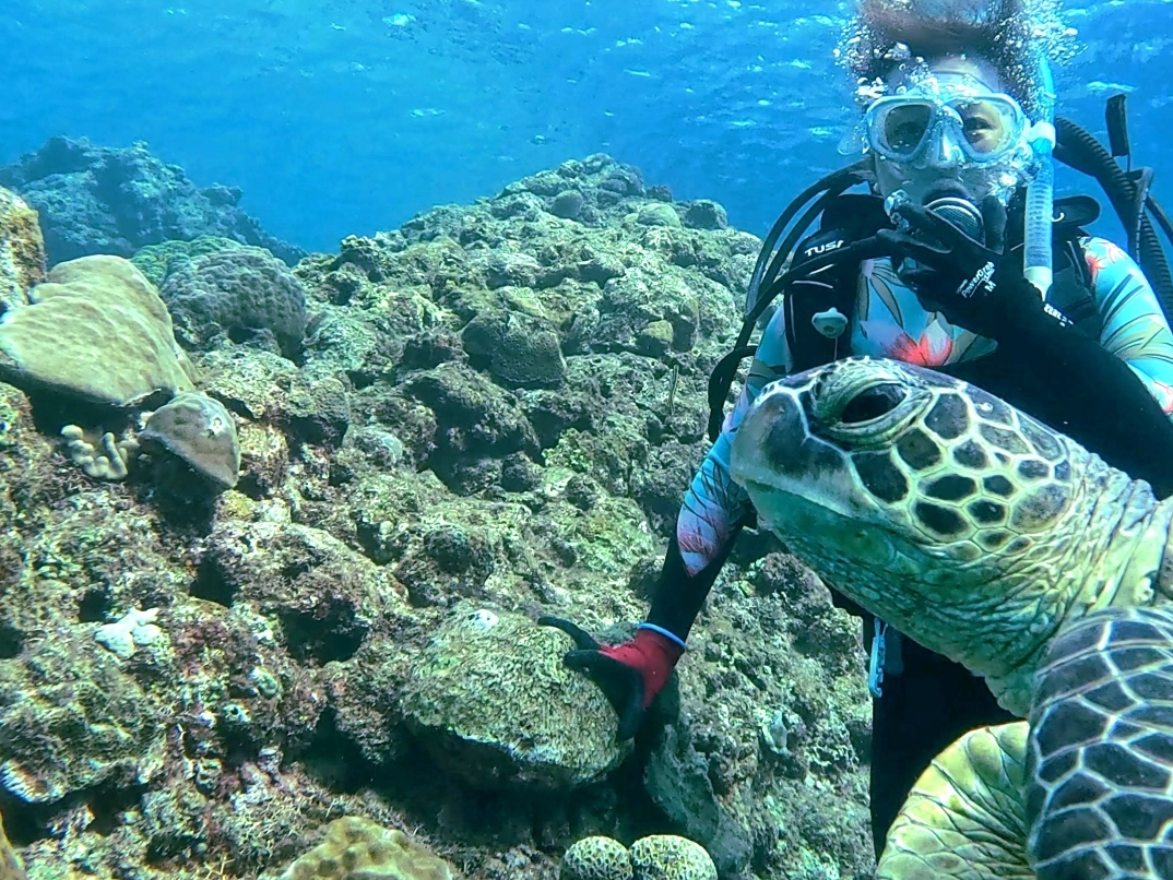 ̍sǂƁAE~KpĂ邩I烉bL[