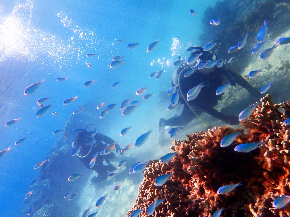 lԂPԈ̂̂ł͂ȂƁBC̒ŁAꐶĂ鏬Ȗ̑ė~B