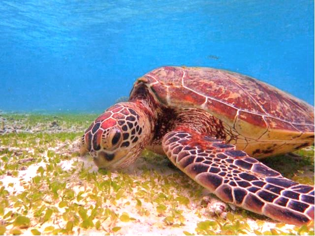 ́AE~KHłIH~IHׂĂ܂!(^^)!