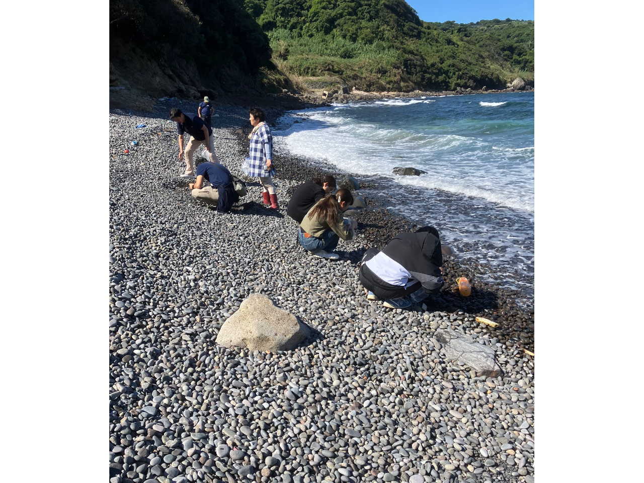 V[OXԂYāAفXƒTĒĂ܂B