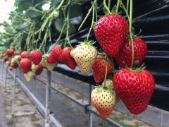 Oth3k6dmzqe6bm Oth3k6dmzqe6bm