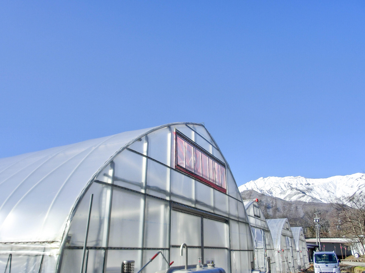 白馬の綺麗な山々が見える大きなビニールハウス