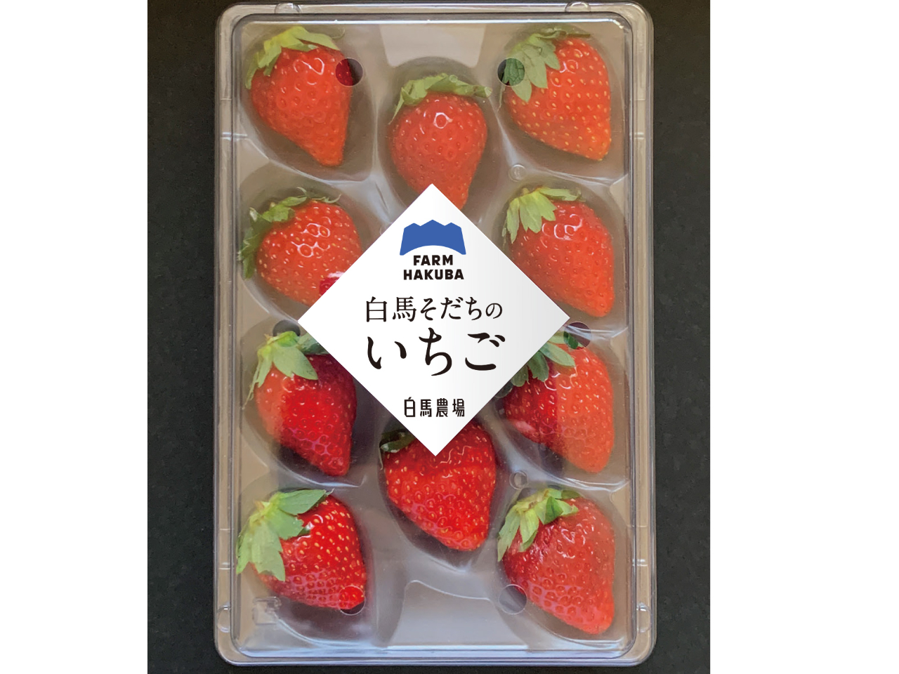 お土産にぴったりなパック販売、発送も承ります。