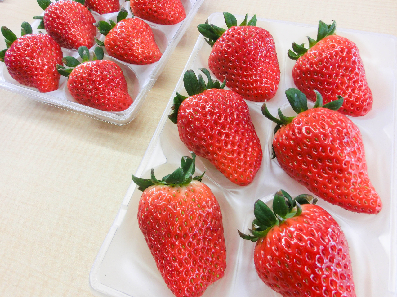 大粒の紅ほっぺ、最後までしっかり甘いです