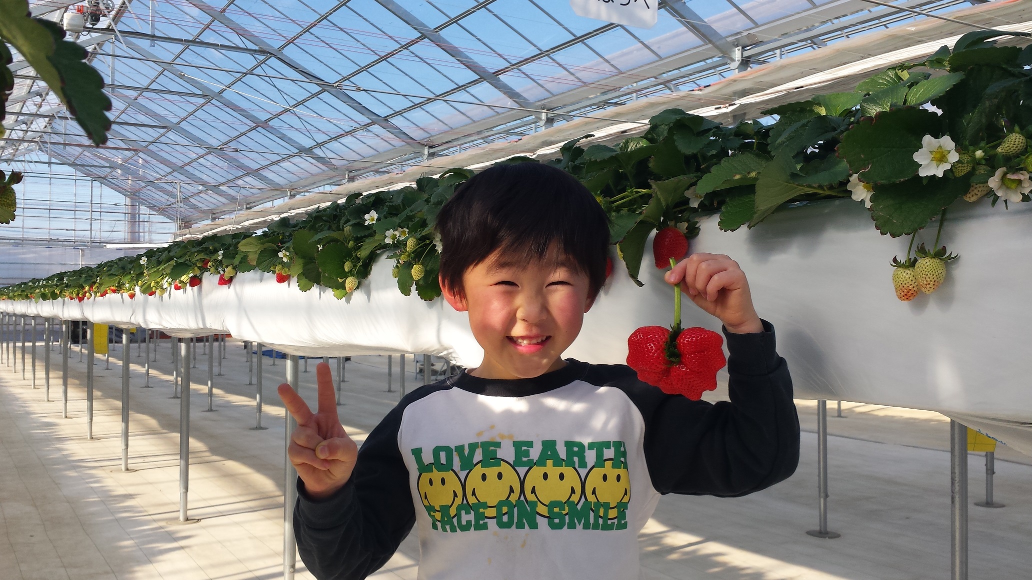 ���ݍ͔|�Ŏq�����炨�N���܂ŁA�y���������������ł��܂�