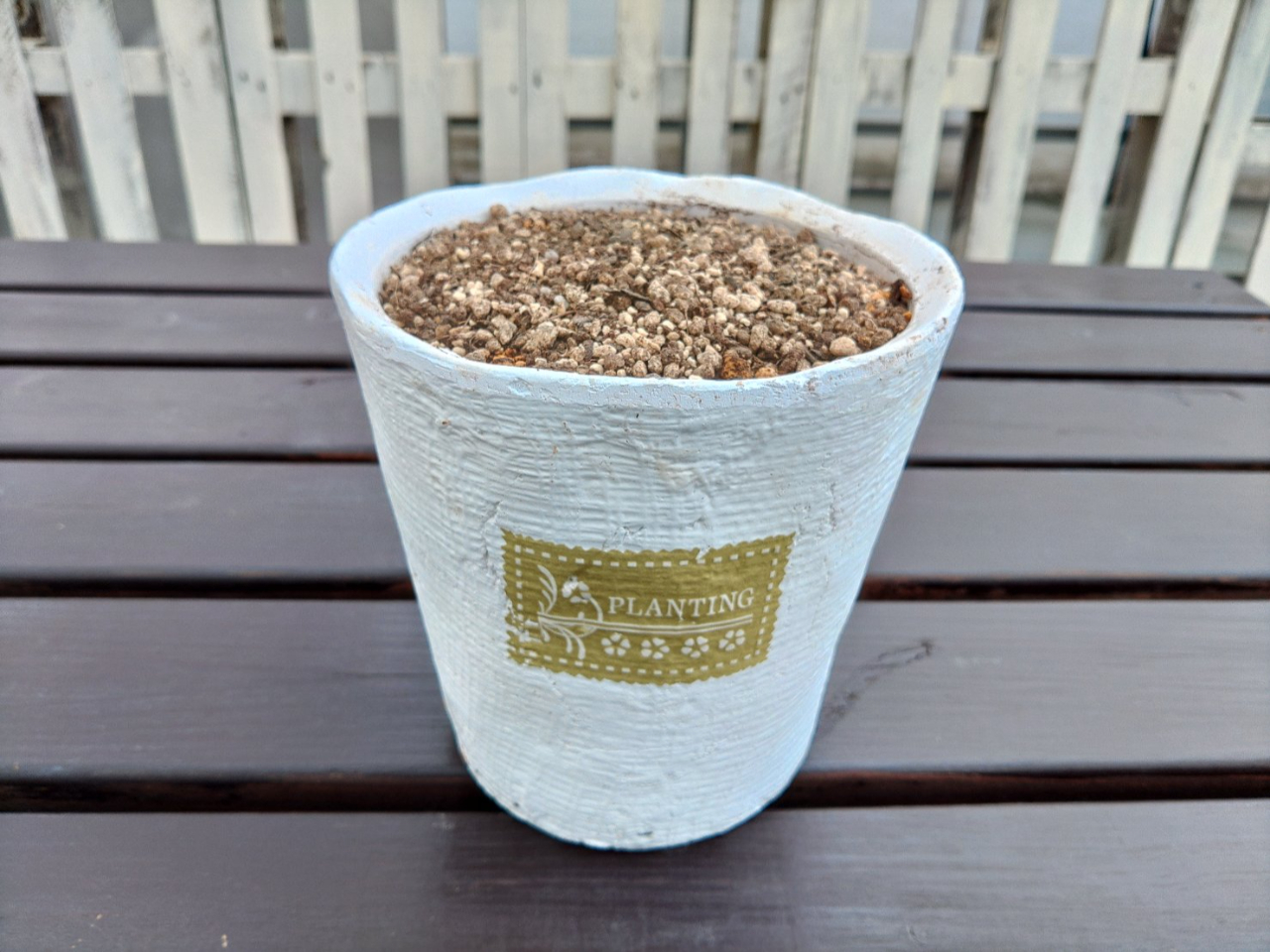 羽生×お正月多肉植物】デカベリアを使ってお正月の多肉寄せ植えを作っ