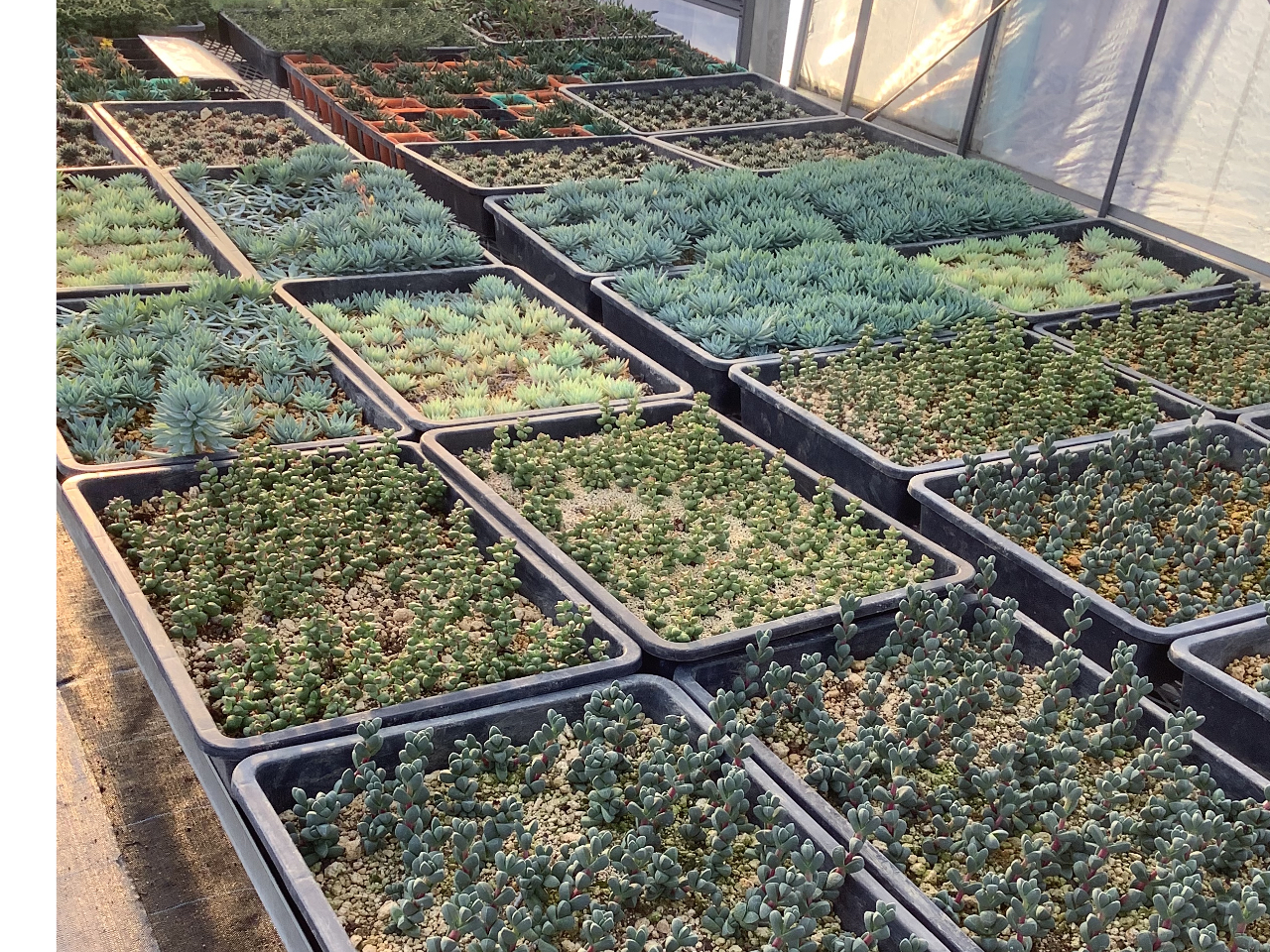 A̓nCt[̑ňĂĂ܂B]͌̕wł܂`!