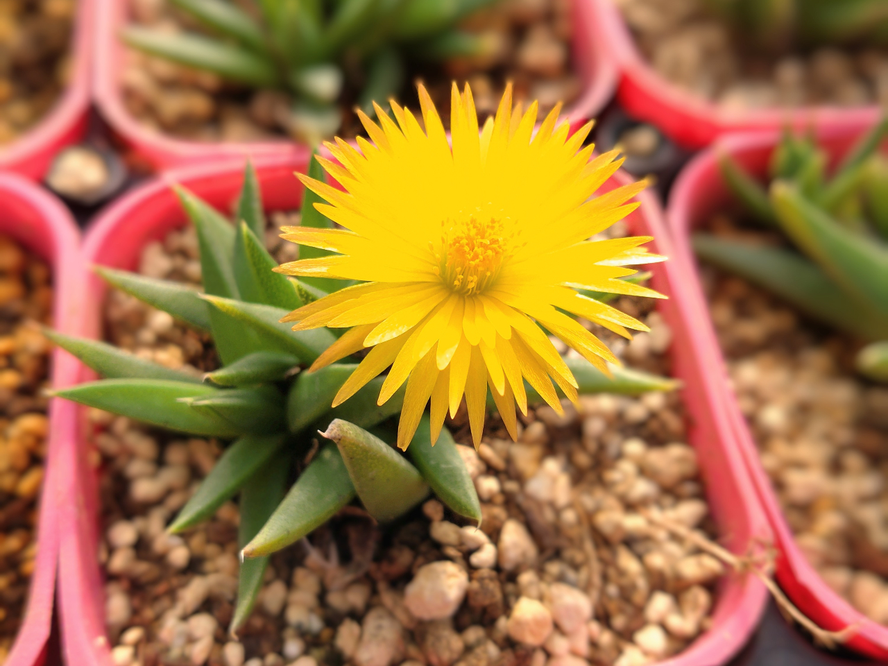 lC3͌ߌ3A킢Ԃ炩܂!