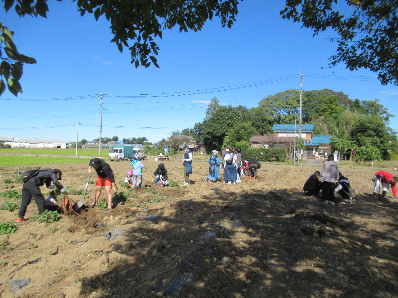(2023年10月の様子)