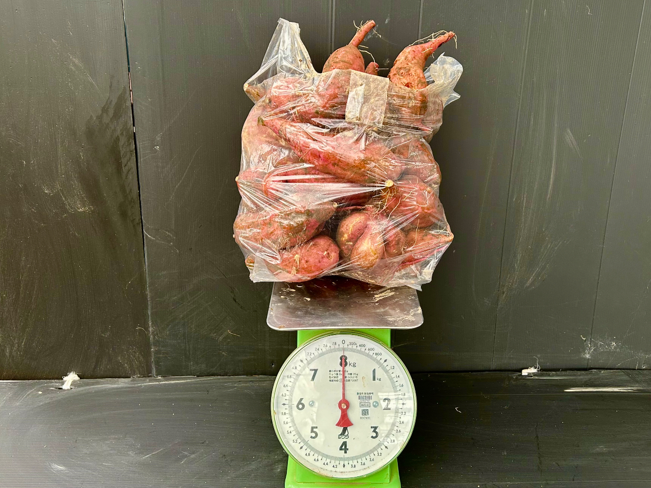 袋いっぱい詰められます!!これで8kgです。結構な重さですよ!! みなさんここからまだ詰めていくのです!!!