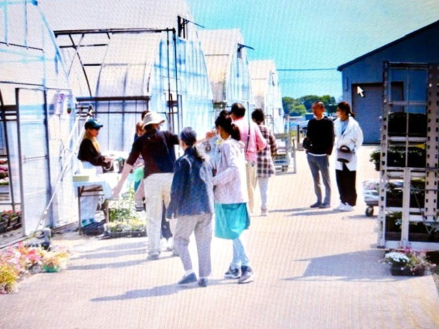 花苗と合わせて、生産農場でも使っているハイフラワー用土を特価350円で販売しています。